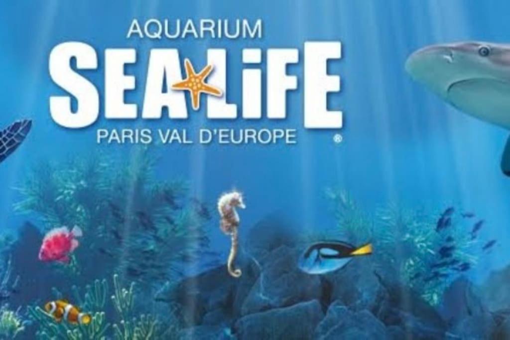 Appart Cosy F2 Disneyland/Val D'Europe Montevrain Ngoại thất bức ảnh